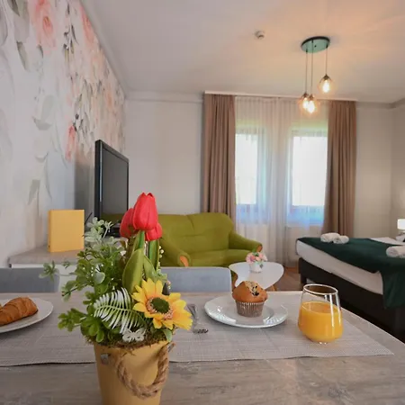 Servita Udvarhaz 3* إغير