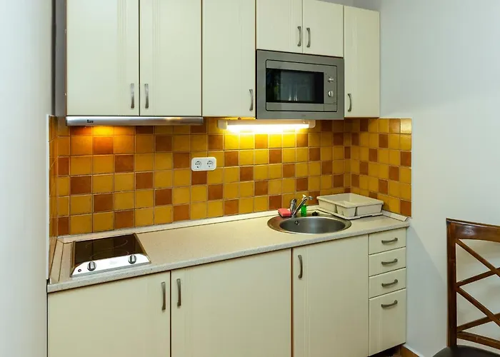 Servita Udvarhaz 3* إغير