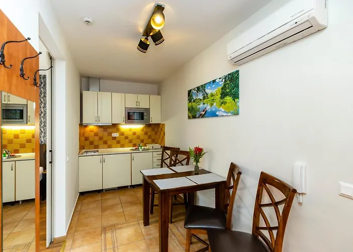 Servita Udvarhaz 3* إغير